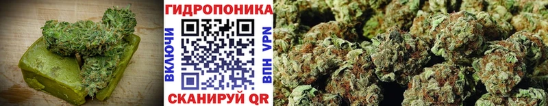 Купить  Кропоткин  Canna-Cookies марихуана 
