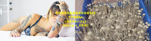 трава Кинешма
