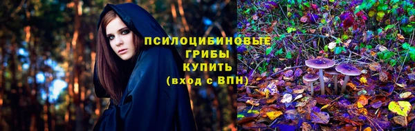 трава Кинешма